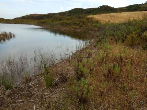 TERRENO RÚSTICO COM 7880 M2 JUNTO A BARRAGEM DO BELICHE - AZINHAL - CASTRO MARIM - ALGARVE - PORTUGAL