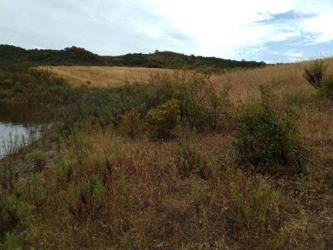 TERRENO RÚSTICO COM 7880 M2 JUNTO A BARRAGEM DO BELICHE - AZINHAL - CASTRO MARIM - ALGARVE - PORTUGAL