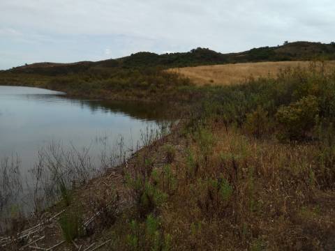 TERRENO RÚSTICO COM 7880 M2 JUNTO A BARRAGEM DO BELICHE - AZINHAL - CASTRO MARIM - ALGARVE - PORTUGAL