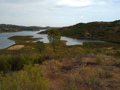 TERRENO RÚSTICO COM 7880 M2 JUNTO A BARRAGEM DO BELICHE - AZINHAL - CASTRO MARIM - ALGARVE - PORTUGAL