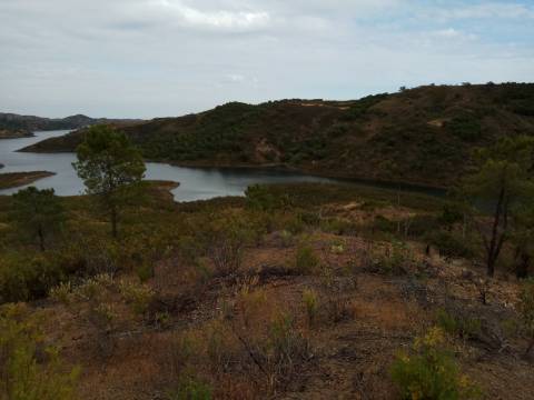 TERRENO RÚSTICO COM 7880 M2 JUNTO A BARRAGEM DO BELICHE - AZINHAL - CASTRO MARIM - ALGARVE - PORTUGAL