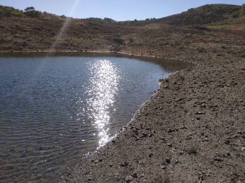 TERRENO RÚSTICO COM 7880 M2 JUNTO A BARRAGEM DO BELICHE - AZINHAL - CASTRO MARIM - ALGARVE - PORTUGAL