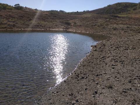 TERRENO RÚSTICO COM 7880 M2 JUNTO A BARRAGEM DO BELICHE - AZINHAL - CASTRO MARIM - ALGARVE - PORTUGAL