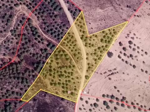 TERRENO RUSTICO COM 12.200 M2 - AGUA E LUZ - PRÓXIMO A FOZ DE ODELEITE - ODELEITE - CASTRO MARIM - ALGARVE