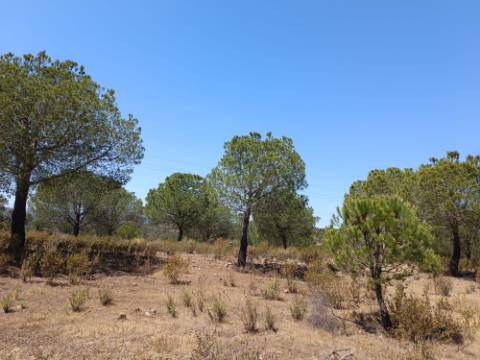 TERRENO RUSTICO COM 12.200 M2 - AGUA E LUZ - PRÓXIMO A FOZ DE ODELEITE - ODELEITE - CASTRO MARIM - ALGARVE