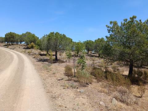 TERRENO RUSTICO COM 12.200 M2 - AGUA E LUZ - PRÓXIMO A FOZ DE ODELEITE - ODELEITE - CASTRO MARIM - ALGARVE