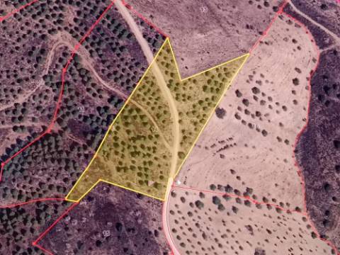 TERRENO RUSTICO COM 12.200 M2 - AGUA E LUZ - PRÓXIMO A FOZ DE ODELEITE - ODELEITE - CASTRO MARIM - ALGARVE