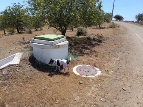 TERRENO RUSTICO COM 12.200 M2 - AGUA E LUZ - PRÓXIMO A FOZ DE ODELEITE - ODELEITE - CASTRO MARIM - ALGARVE