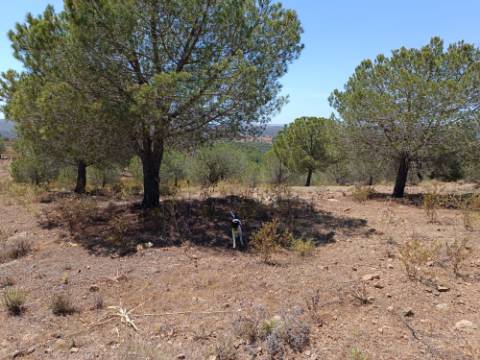 TERRENO RUSTICO COM 12.200 M2 - AGUA E LUZ - PRÓXIMO A FOZ DE ODELEITE - ODELEITE - CASTRO MARIM - ALGARVE