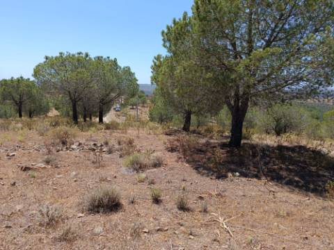 TERRENO RUSTICO COM 12.200 M2 - AGUA E LUZ - PRÓXIMO A FOZ DE ODELEITE - ODELEITE - CASTRO MARIM - ALGARVE