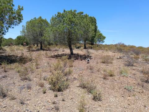 TERRENO RUSTICO COM 12.200 M2 - AGUA E LUZ - PRÓXIMO A FOZ DE ODELEITE - ODELEITE - CASTRO MARIM - ALGARVE