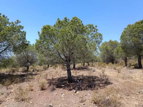 TERRENO RUSTICO COM 12.200 M2 - AGUA E LUZ - PRÓXIMO A FOZ DE ODELEITE - ODELEITE - CASTRO MARIM - ALGARVE