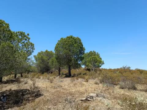 TERRENO RUSTICO COM 12.200 M2 - AGUA E LUZ - PRÓXIMO A FOZ DE ODELEITE - ODELEITE - CASTRO MARIM - ALGARVE