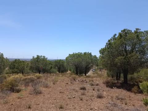 TERRENO RUSTICO COM 12.200 M2 - AGUA E LUZ - PRÓXIMO A FOZ DE ODELEITE - ODELEITE - CASTRO MARIM - ALGARVE