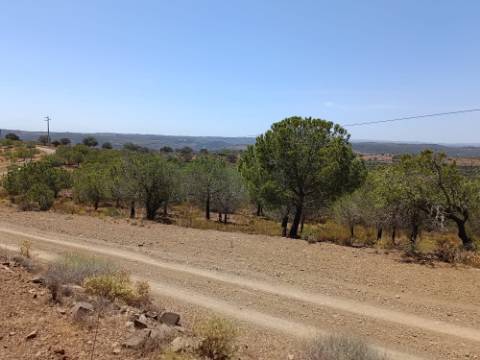 TERRENO RUSTICO COM 12.200 M2 - AGUA E LUZ - PRÓXIMO A FOZ DE ODELEITE - ODELEITE - CASTRO MARIM - ALGARVE