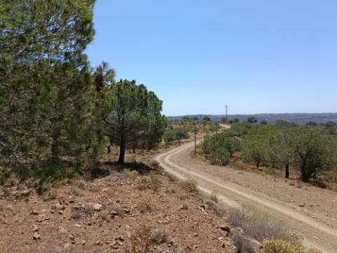 TERRENO RUSTICO COM 12.200 M2 - AGUA E LUZ - PRÓXIMO A FOZ DE ODELEITE - ODELEITE - CASTRO MARIM - ALGARVE
