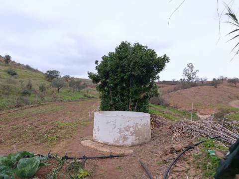 TERRENO COM 35.120 M2 - POÇO - ÁGUA - COM POSSIBILIDADE DE CONSTRUIR UM ARMAZÉM - CORTE DO GAGO - CASTRO MARIM - ALGARVE