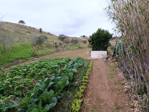 TERRENO COM 35.120 M2 - POÇO - ÁGUA - COM POSSIBILIDADE DE CONSTRUIR UM ARMAZÉM - CORTE DO GAGO - CASTRO MARIM - ALGARVE