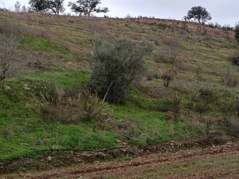 TERRENO COM 35.120 M2 - POÇO - ÁGUA - COM POSSIBILIDADE DE CONSTRUIR UM ARMAZÉM - CORTE DO GAGO - CASTRO MARIM - ALGARVE