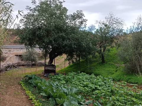 TERRENO COM 35.120 M2 - POÇO - ÁGUA - COM POSSIBILIDADE DE CONSTRUIR UM ARMAZÉM - CORTE DO GAGO - CASTRO MARIM - ALGARVE