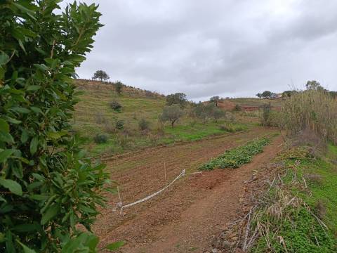 TERRENO COM 35.120 M2 - POÇO - ÁGUA - COM POSSIBILIDADE DE CONSTRUIR UM ARMAZÉM - CORTE DO GAGO - CASTRO MARIM - ALGARVE