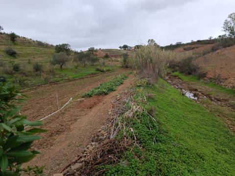 TERRENO COM 35.120 M2 - POÇO - ÁGUA - COM POSSIBILIDADE DE CONSTRUIR UM ARMAZÉM - CORTE DO GAGO - CASTRO MARIM - ALGARVE
