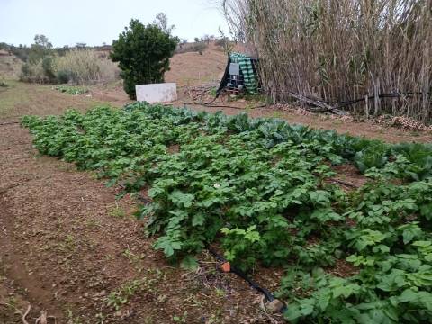 TERRENO COM 35.120 M2 - POÇO - ÁGUA - COM POSSIBILIDADE DE CONSTRUIR UM ARMAZÉM - CORTE DO GAGO - CASTRO MARIM - ALGARVE
