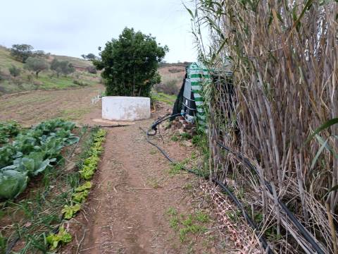 TERRENO COM 35.120 M2 - POÇO - ÁGUA - COM POSSIBILIDADE DE CONSTRUIR UM ARMAZÉM - CORTE DO GAGO - CASTRO MARIM - ALGARVE