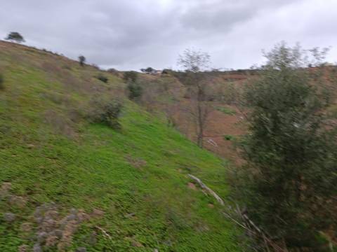 TERRENO COM 35.120 M2 - POÇO - ÁGUA - COM POSSIBILIDADE DE CONSTRUIR UM ARMAZÉM - CORTE DO GAGO - CASTRO MARIM - ALGARVE