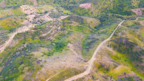 Terreno Rústico - 11840m2 - Cortelha - Azinhal - Castro Marim