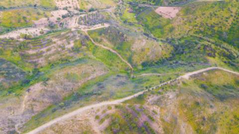 Terreno Rústico - 11840m2 - Cortelha - Azinhal - Castro Marim