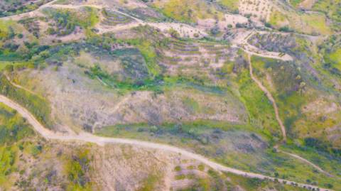 Terreno Rústico - 11840m2 - Cortelha - Azinhal - Castro Marim