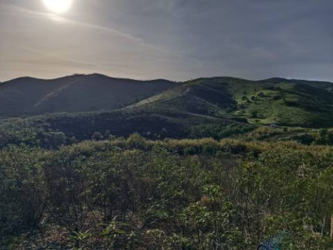 TERRENO COM 23.440 M2 - COM ESTUFAS - LINHA D'AGUA - TANOEIRO - CASTRO MARIM - ALGARVE