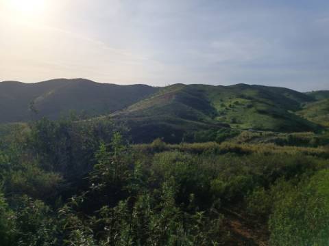 TERRENO COM 23.440 M2 - COM ESTUFAS - LINHA D'AGUA - TANOEIRO - CASTRO MARIM - ALGARVE