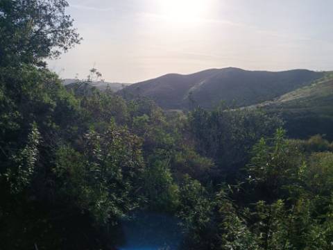 TERRENO COM 23.440 M2 - COM ESTUFAS - LINHA D'AGUA - TANOEIRO - CASTRO MARIM - ALGARVE