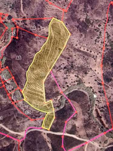 TERRENO COM 23.440 M2 - COM ESTUFAS - LINHA D'AGUA - TANOEIRO - CASTRO MARIM - ALGARVE
