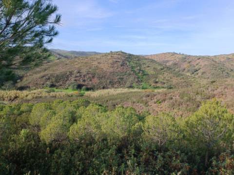 TERRENO COM 23.440 M2 - COM ESTUFAS - LINHA D'AGUA - TANOEIRO - CASTRO MARIM - ALGARVE