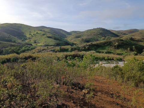 TERRENO COM 23.440 M2 - COM ESTUFAS - LINHA D'AGUA - TANOEIRO - CASTRO MARIM - ALGARVE