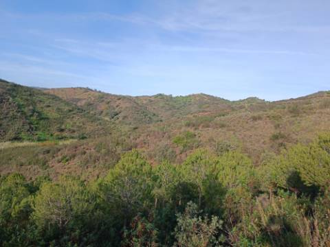 TERRENO COM 23.440 M2 - COM ESTUFAS - LINHA D'AGUA - TANOEIRO - CASTRO MARIM - ALGARVE