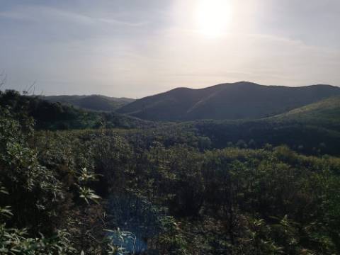 TERRENO COM 23.440 M2 - COM ESTUFAS - LINHA D'AGUA - TANOEIRO - CASTRO MARIM - ALGARVE