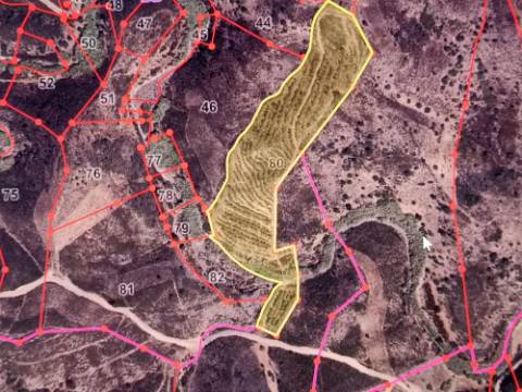 TERRENO COM 23.440 M2 - COM ESTUFAS - LINHA D'AGUA - TANOEIRO - CASTRO MARIM - ALGARVE