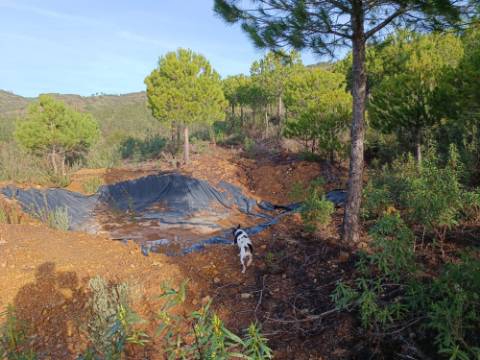 TERRENO COM 23.440 M2 - COM ESTUFAS - LINHA D'AGUA - TANOEIRO - CASTRO MARIM - ALGARVE