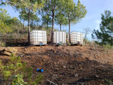 TERRENO COM 23.440 M2 - COM ESTUFAS - LINHA D'AGUA - TANOEIRO - CASTRO MARIM - ALGARVE