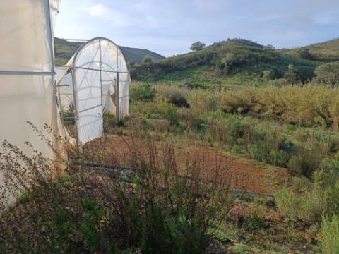 TERRENO COM 23.440 M2 - COM ESTUFAS - LINHA D'AGUA - TANOEIRO - CASTRO MARIM - ALGARVE