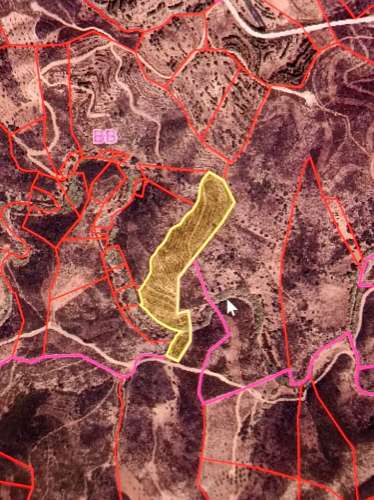 TERRENO COM 23.440 M2 - COM ESTUFAS - LINHA D'AGUA - TANOEIRO - CASTRO MARIM - ALGARVE