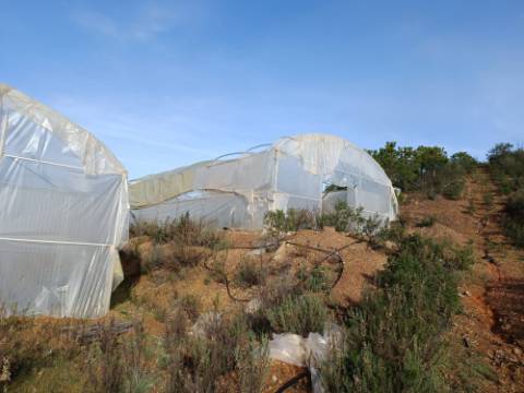 TERRENO COM 23.440 M2 - COM ESTUFAS - LINHA D'AGUA - TANOEIRO - CASTRO MARIM - ALGARVE