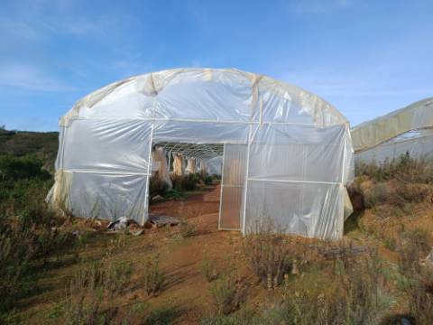 TERRENO COM 23.440 M2 - COM ESTUFAS - LINHA D'AGUA - TANOEIRO - CASTRO MARIM - ALGARVE