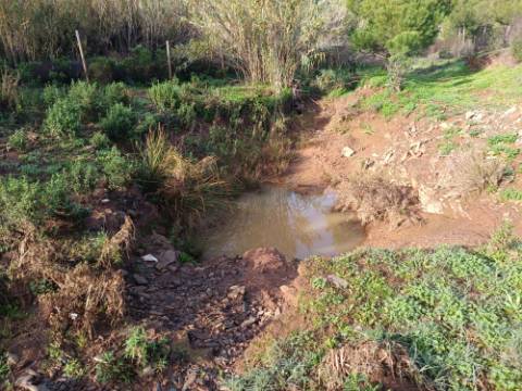 TERRENO COM 23.440 M2 - COM ESTUFAS - LINHA D'AGUA - TANOEIRO - CASTRO MARIM - ALGARVE