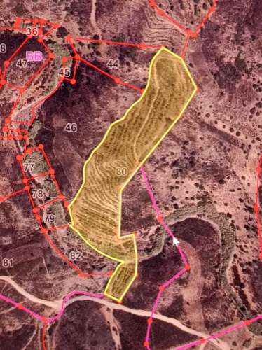 TERRENO COM 23.440 M2 - COM ESTUFAS - LINHA D'AGUA - TANOEIRO - CASTRO MARIM - ALGARVE