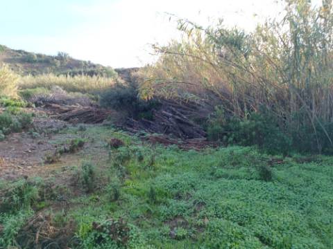 TERRENO COM 23.440 M2 - COM ESTUFAS - LINHA D'AGUA - TANOEIRO - CASTRO MARIM - ALGARVE